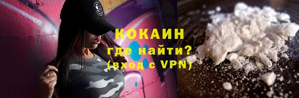 ешки Алексин