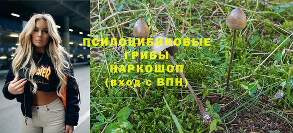 первитин Осташков