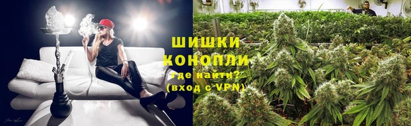 ешки Алексин