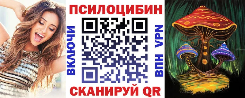 Псилоцибиновые грибы Psilocybine cubensis купить наркотики сайты Чита