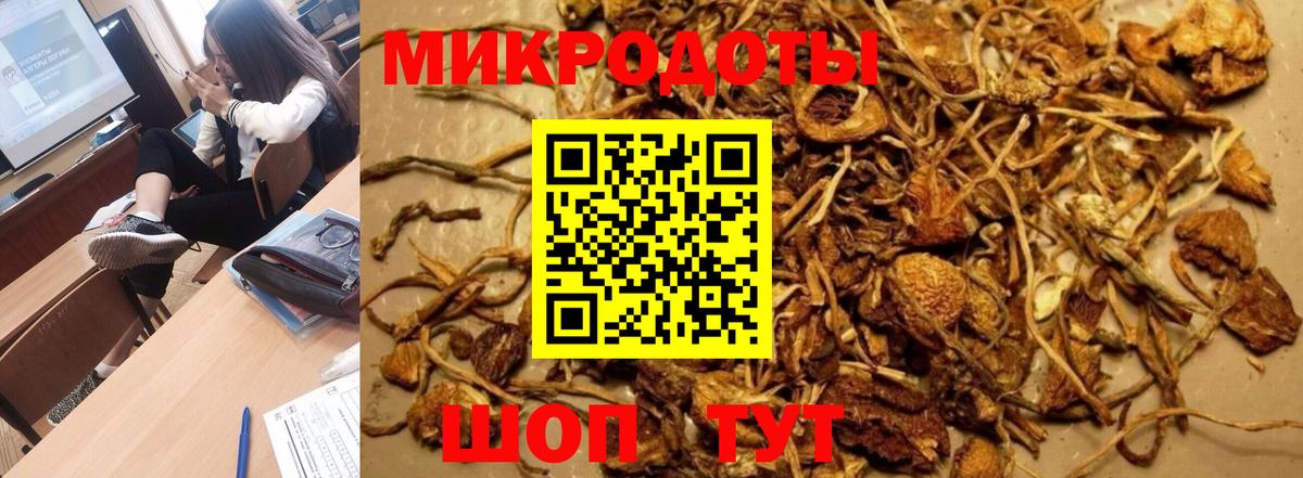 Псилоцибиновые грибы Psilocybe  Вход с VPN  купить наркотик  Чита  Псилоцибиновые грибы прущие грибы 